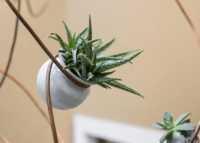 Casa Do Juncal Hotel Guimarães